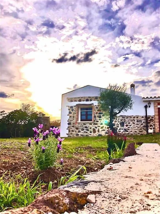 Villa Pedduzza אורוסיי איטליה